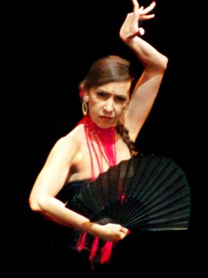 percorso di flamenco base